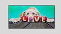 Love is FurrEver – golden puppy fine art print